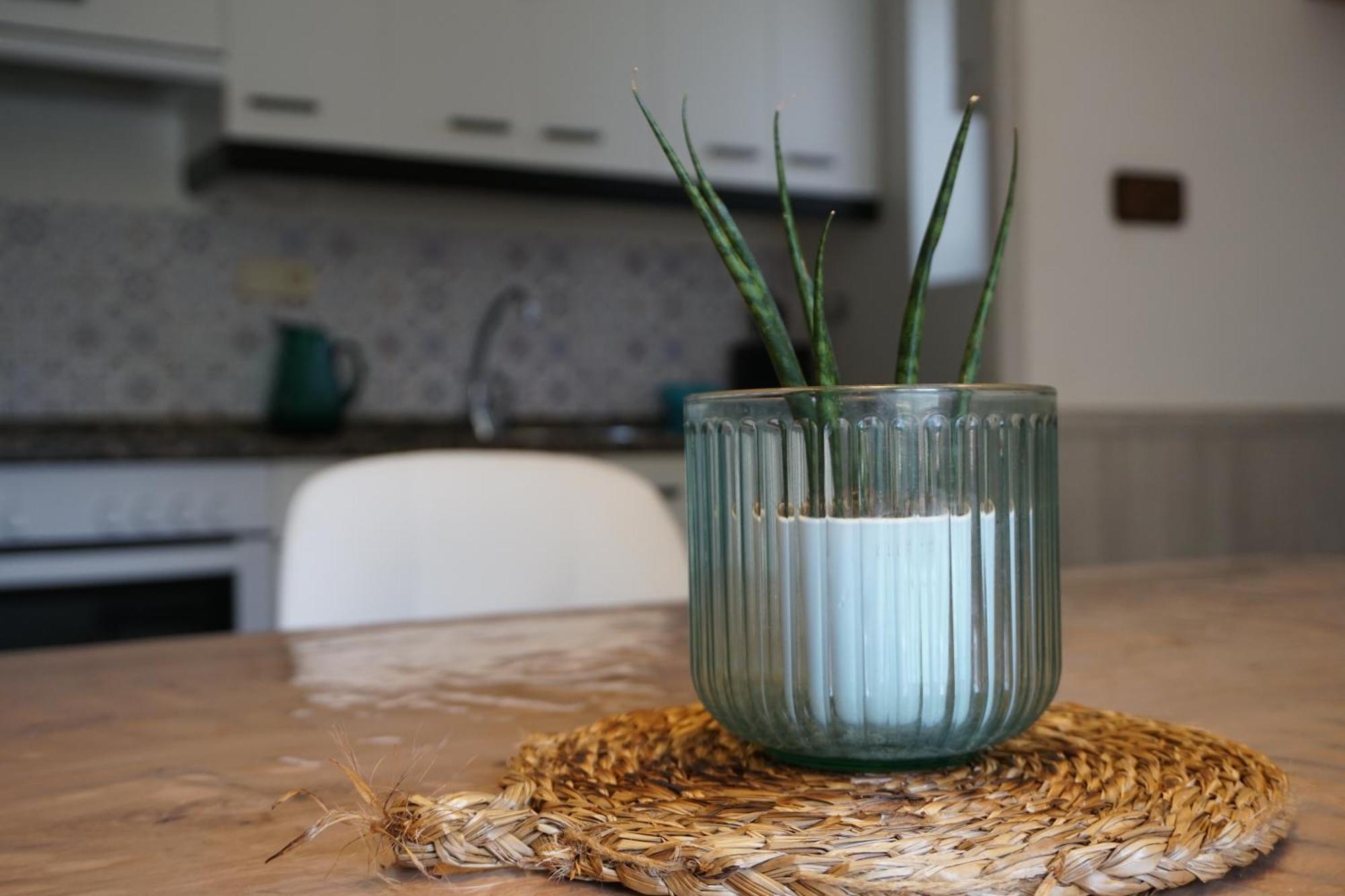 Cirjuana, Casa En El Centro Con Agradable Jardin Y Barbacoa By Pirineos 360 Villa Biescas  Eksteriør bilde